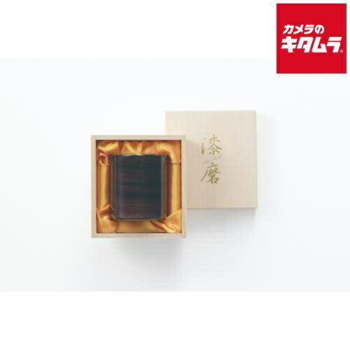 タマハシ TS-14 漆磨 ロックタンブラー 紫影 250ml