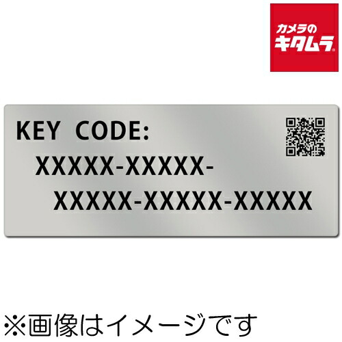 パナソニック DMW-SFU1 アップグレードソフトウェアキー ソフトウェアキー 《納期約３－４週間》
