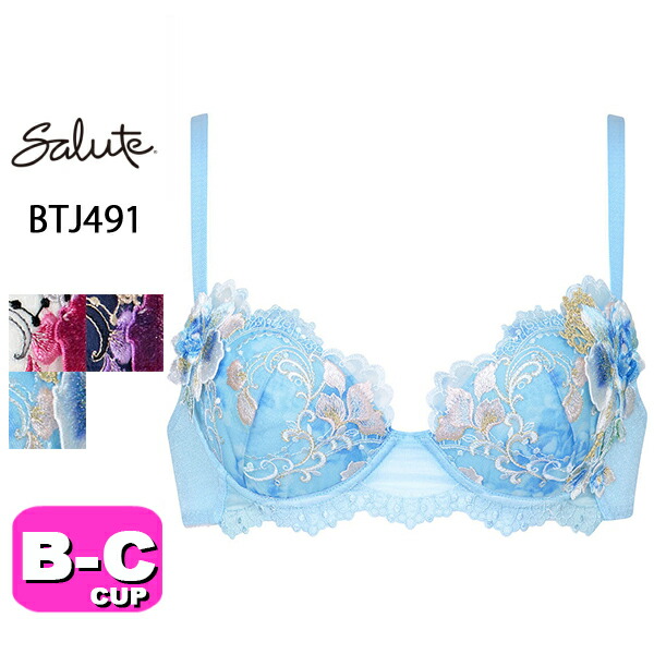 salute　サルート　11G 11グループ　F80 LL VI P-UP 楽天市場】25%OFF ワコール Wacoal サルート salute 80グループ
