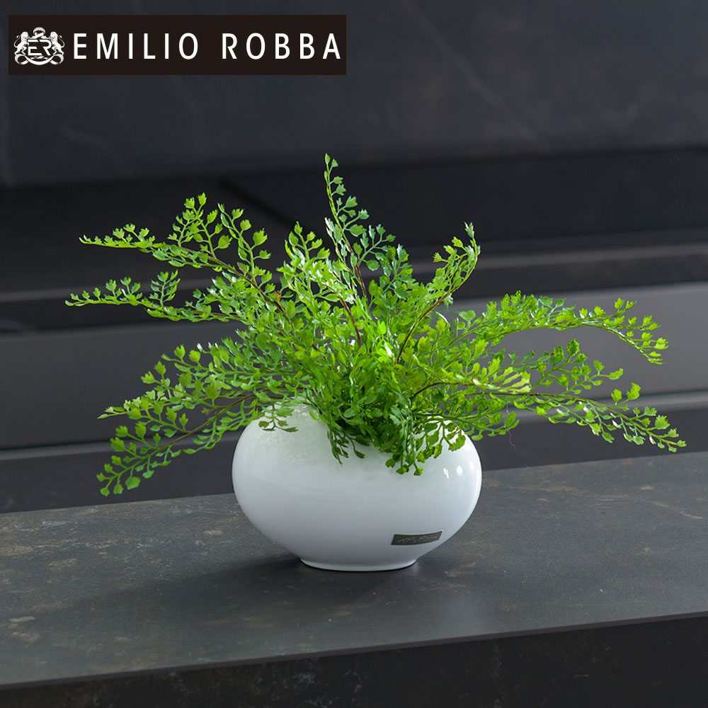 楽天市場】観葉植物 ギャザリングカラテア 造花 インテリア 新生活