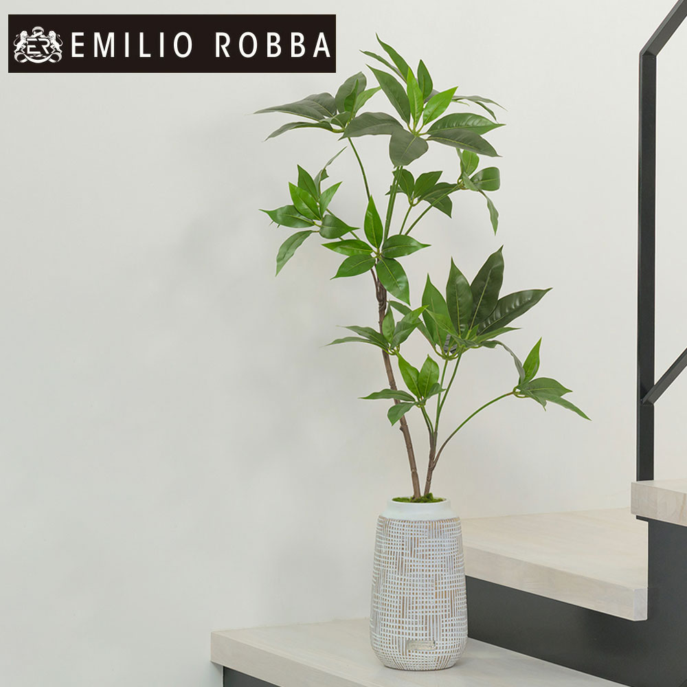 楽天市場】観葉植物 ギャザリングカラテア 造花 インテリア 新生活