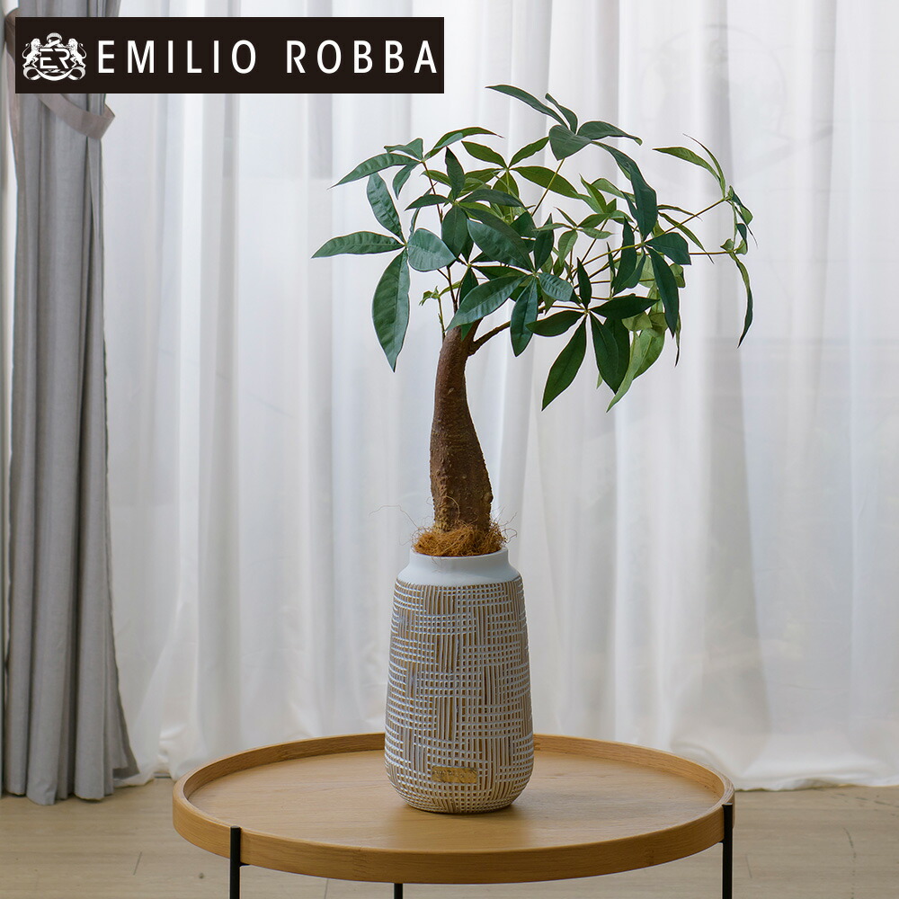 観葉植物 アーティフィシャルグリーン ギャザリング カラテア