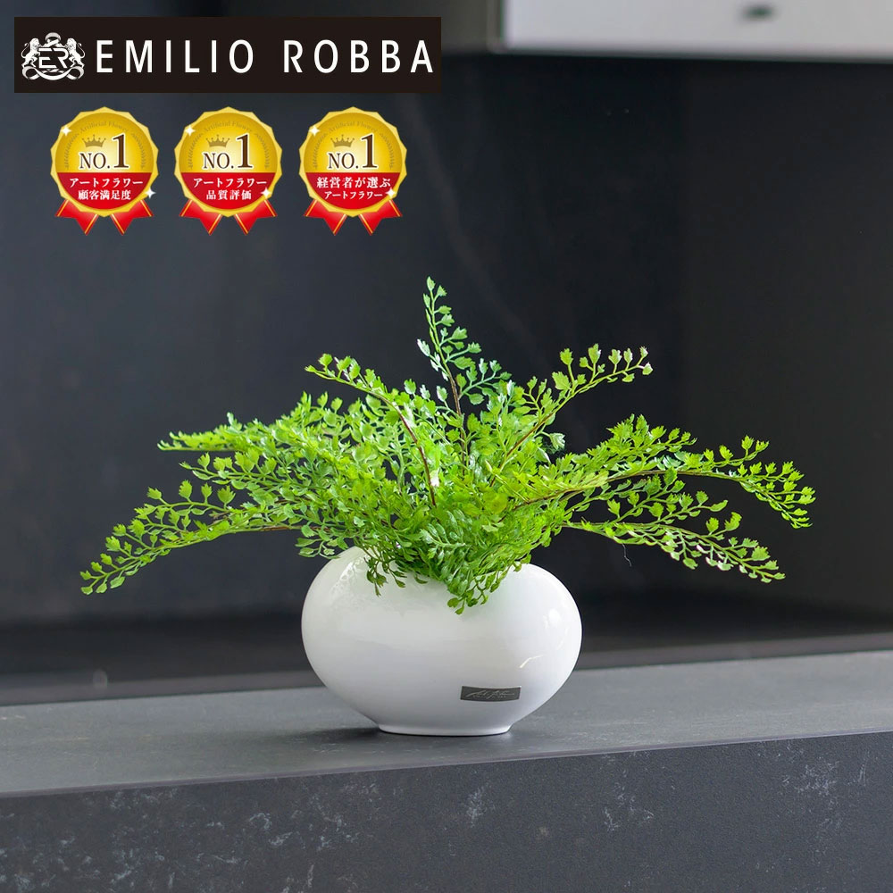 楽天市場】観葉植物 ギャザリングカラテア 造花 インテリア