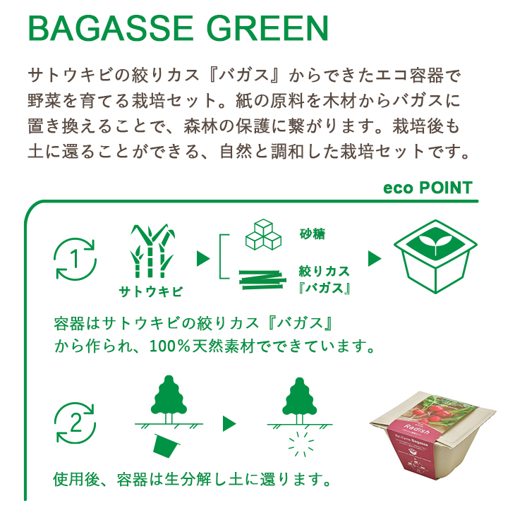 有名なブランド 栽培セット 栽培キット バガスグリーン Bagasse Green エコポットで育てる野菜栽培セット ラディッシュ ミニキャロット レタス サラダホウレンソウ ネギ ミニトマト 野菜 室内栽培 室内園芸 野菜栽培 キッチン菜園 かわいい おしゃれ ギフト プレゼント Gd