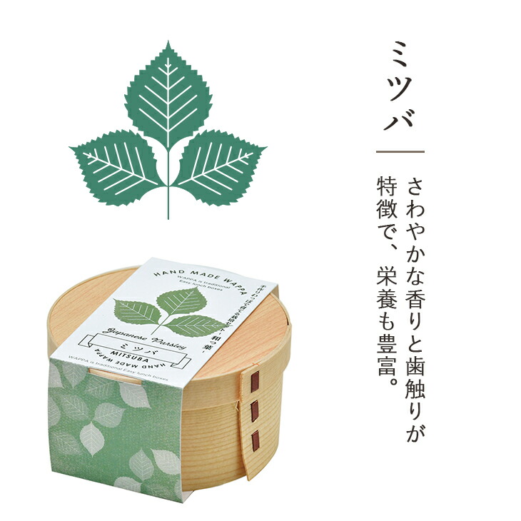 栽培セット 栽培キット 水菜 ミズナ ねぎ 三つ葉 コネギ 薬味 Wappa 紫蘇 野菜 ミツバ 和っ葉栽培セット シソ 葱 大葉