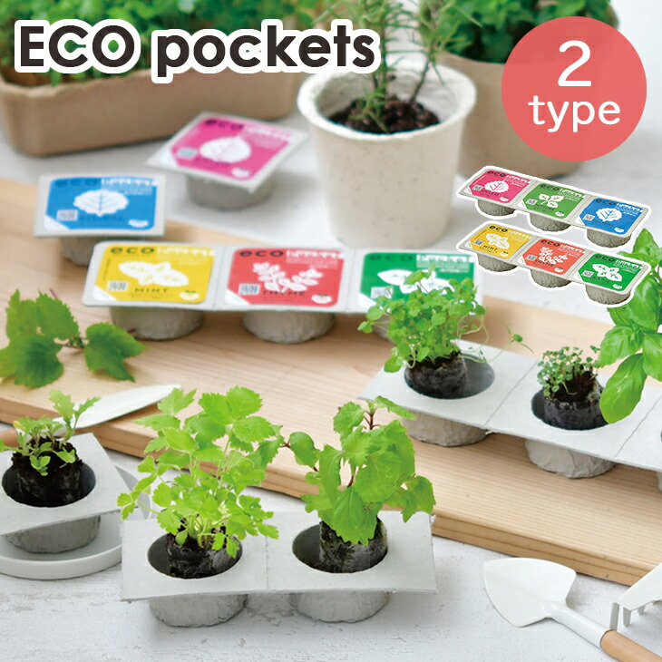 市場 栽培セット タイム わさび菜 エコポケット ミント Eco ジャパニーズコレクション Pockets ハーブコレクション 栽培キット 三つ葉 しそ バジル