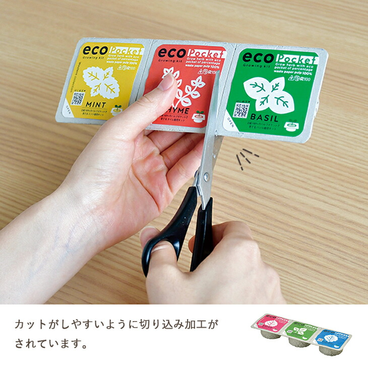 市場 栽培セット ハーブコレクション バジル エコポケット 栽培キット ミント しそ Eco ジャパニーズコレクション タイム 三つ葉 Pockets わさび菜