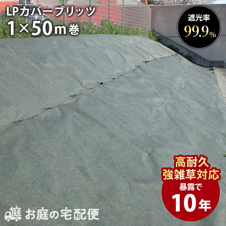 冷ややかさ地打つ手特集