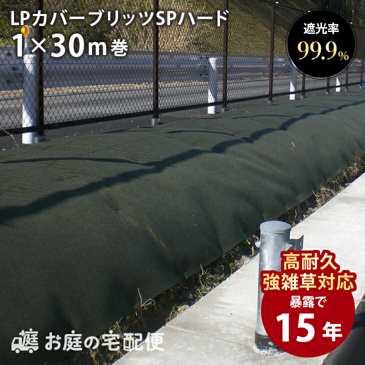 冷ややかさ地打つ手特集