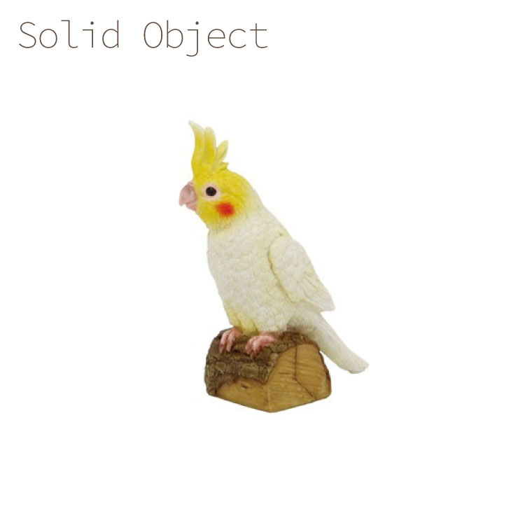 楽天市場 ソリッドオブジェ オカメインコ インコ インテリア 庭 ガーデニング オーナメント オブジェ 置物 動物 小鳥 かわいい 鳥 鳥グッズ 鳥雑貨 インコグッズ 丸和貿易 エミオークガーデンショップ