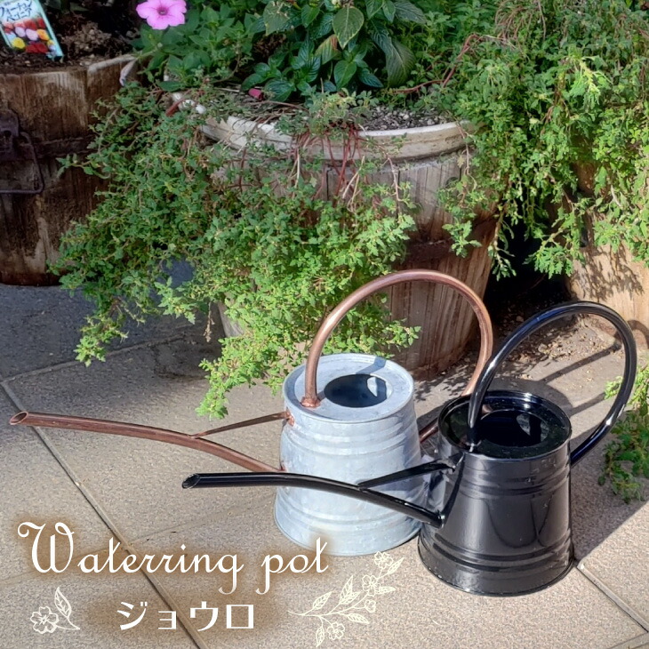 楽天市場 ジョウロ ブラック Aged 東洋石創 植物 花 フラワー 観葉植物 雑貨 レトロ ガーデン アンティーク モダン シンプル じょうろ 園芸用品 水やり 水撒き エミオークガーデンショップ