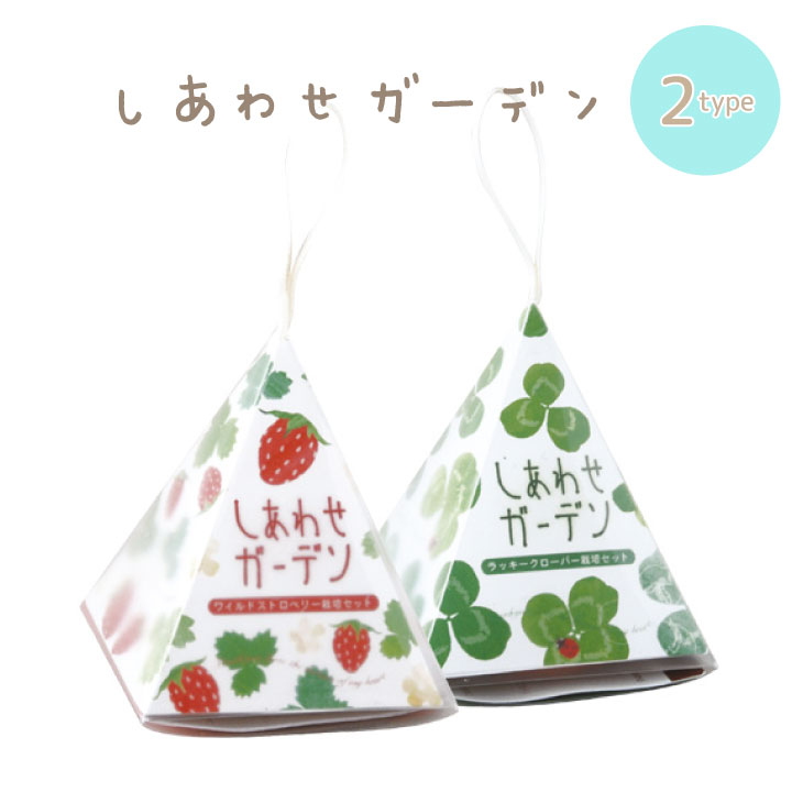楽天市場 栽培キット しあわせガーデン ワイルドストロベリー クローバー いちご Gd347 聖新陶芸 栽培セット 室内栽培 室内園芸 キッチン菜園 キッチンガーデン ハーブ 自給自足 ギフト エミオークガーデンショップ