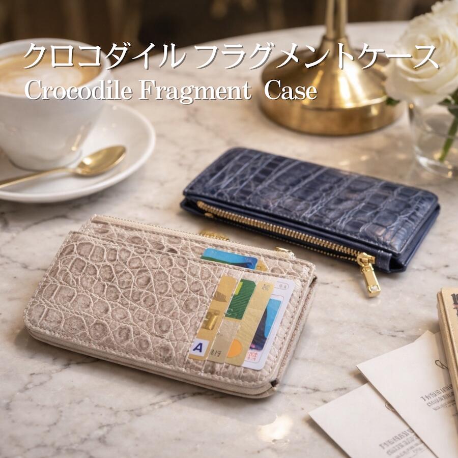 ✨未使用級　付属品完備✨ボッテガ　ケース　パース　カセット　現行 カセット パスポートケース のために ウィメンズ で エメラルド