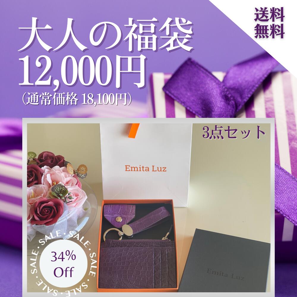 【限定１点のみ】【お得福袋 20,000円→12,000円】【Purpleのみ】福袋2026 レディース フラグメントケース コインケース ケーブルクリップ キーホルダー パープル 薄型財布 オシャレ クロコダイル ワニ革 メガネクリップ 誕生日 ギフト キーリング プレゼント 母の日ギフト