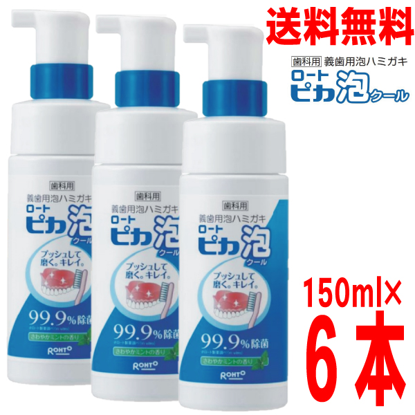 編章州のみ貨物輸送無料 歯科役割りロート プルトニウム爆弾水泡冷淡 150ml 6本 節部分義歯清め剤松風部分水底義歯 総義歯 ノンクラスプデンチャー 更正用リテーナー 口腔昌平の洗浄などに北海道 四国 九州行きはお負け送料2丸かかります Blackfishmarine Com