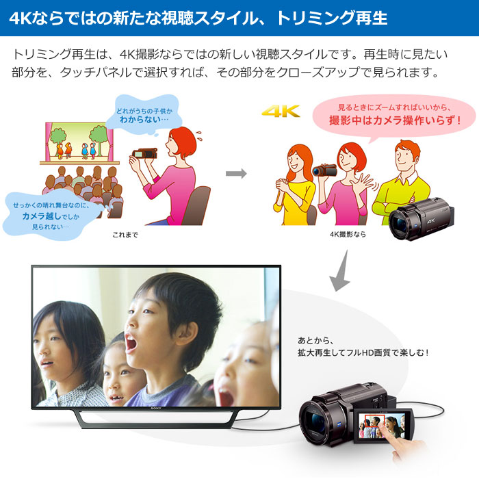 直送商品 ソニー デジタル4Kビデオカメラレコーダー 4Kハンディカム