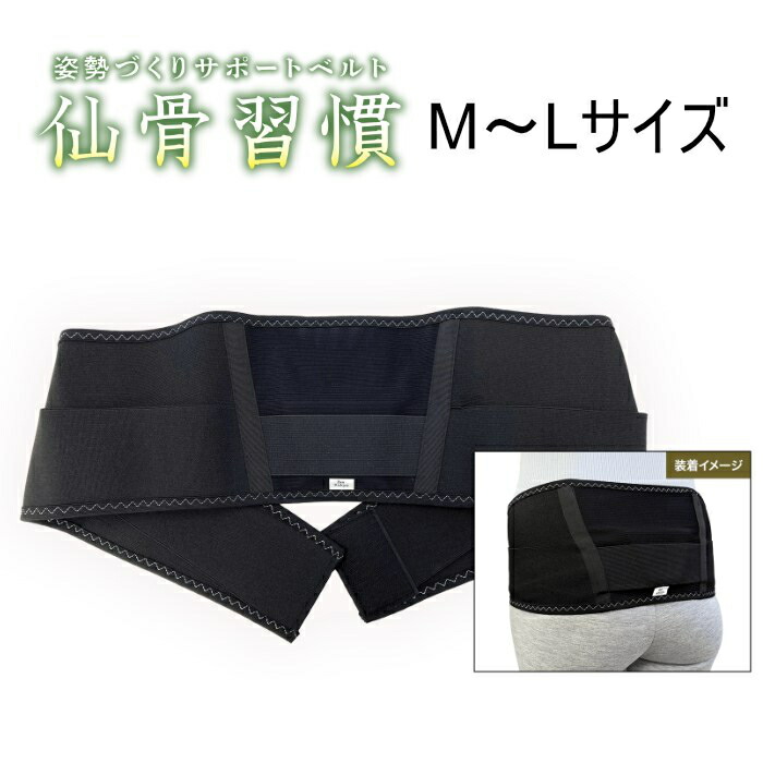 【返品OK!条件付】姿勢づくりサポートベルト 仙骨習慣 M～Lサイズ YSGS-9601L ブラック 姿勢ケア テイチクエンタテイメント【KK9N0D18P】