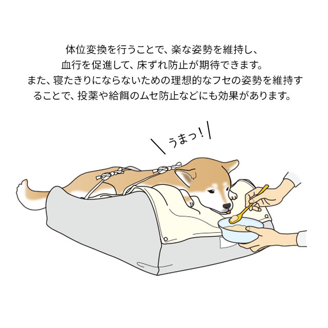 市場 ランキング1位 犬用ベッド 介護 犬用 介護用品 ベット マット 介護用ベッド クッション ケア シニア 床ずれ ペットベッド ペット ベッド 犬 防止