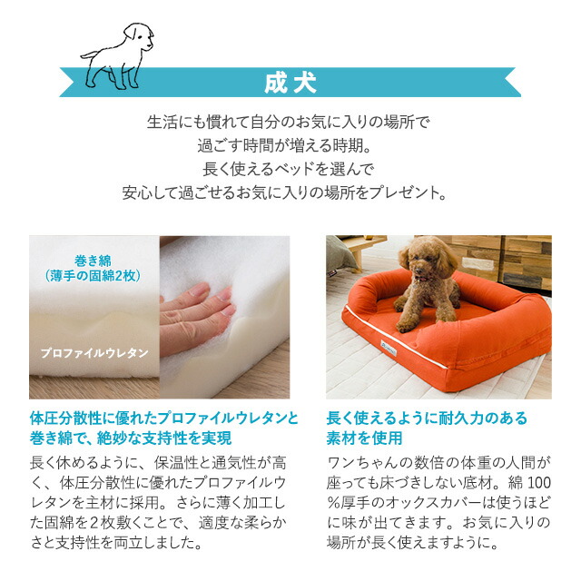 送料無料 床ずれ パピー 成犬 シニアの各年代に合わせた材質から選べる 体圧分散 起き上がりが楽な3d形状の犬用ベッド Lサイズは中型犬まで対応 オックス生地で耐久力抜群 丸洗い カバーは洗濯機でok ペットベッド 犬 犬用 ベッド 犬用ベッド Lサイズ カバーを