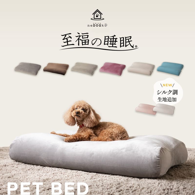 海月水景シリーズ PICO[ピコ] 【クラゲ飼育専用小型水槽】【すぐに飼育
