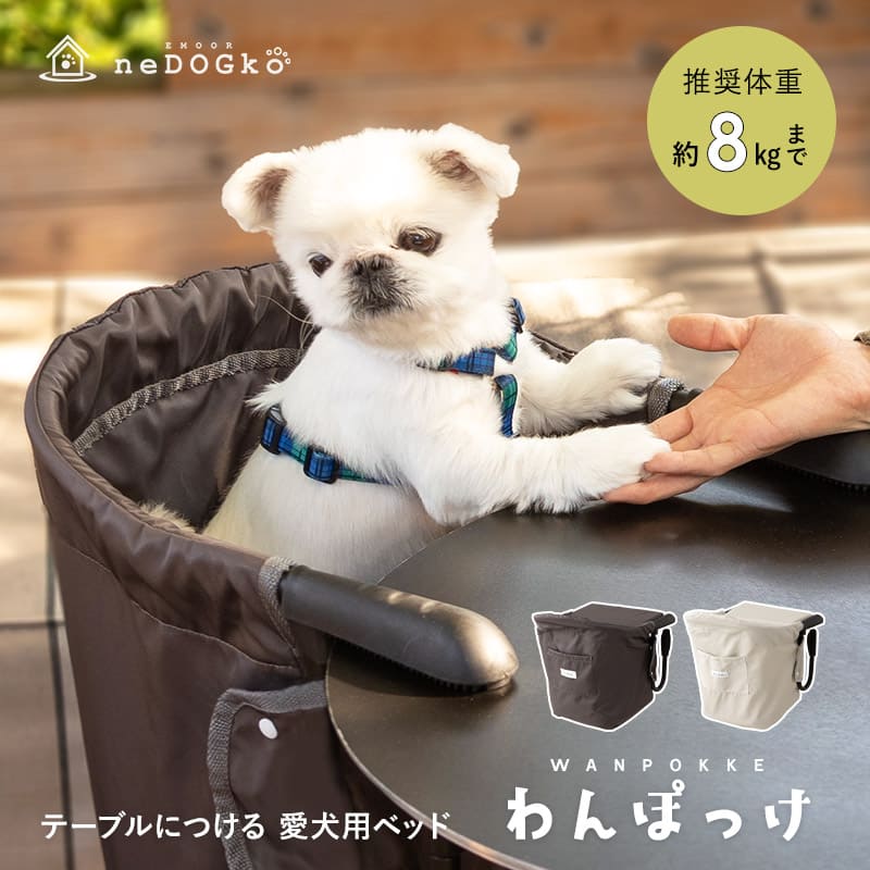 見守りカメラ EBO SE(イーボSE) | ランキング入賞 世界60か国