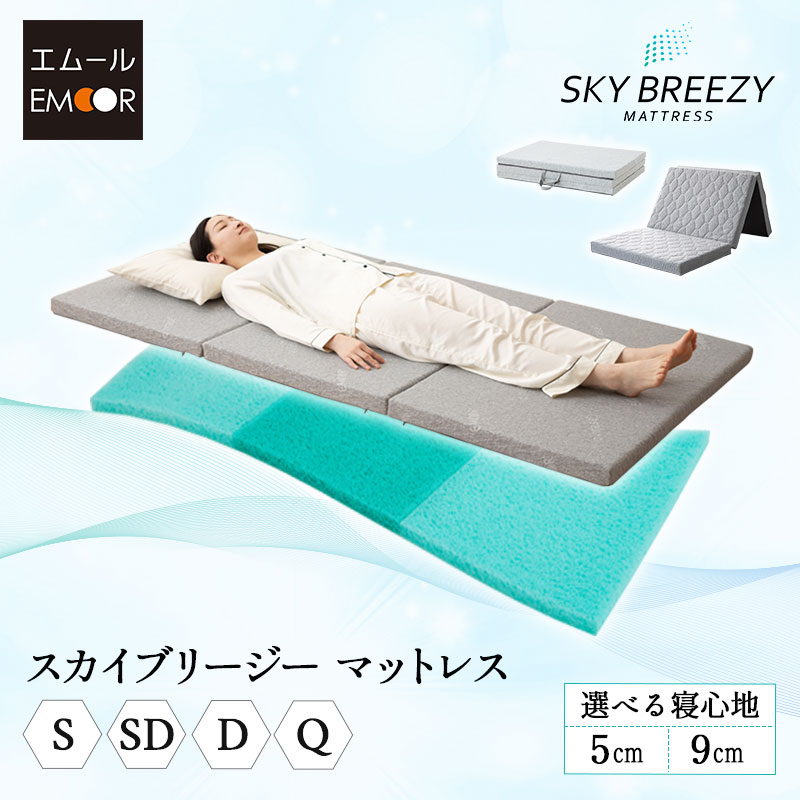 ＼NEW ARRIVAL／「決まり切った」を極めた臥榻ORVA新発売