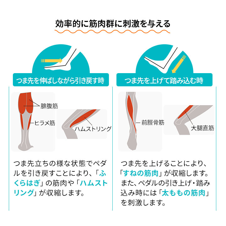 ステッパー ダイエット トレーニング 運動器具 フィットネスバイク ミニ ペダル運動 高齢者 介護用 踏み台昇降 ステップ台 健康器具 リハビリ 足 ルームサイクル 室内運動 筋力維持 運動 便利 グッズ プレゼント ふくらはぎ おばあちゃん 母の日 父の日 敬老の日