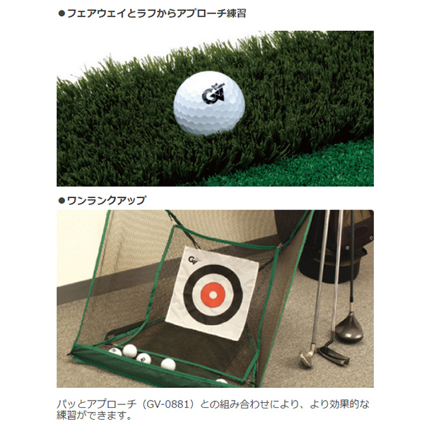 907円 独特な Tabata タバタ ゴルフ 練習用品 練習器具 アプローチ練習 パッとアプローチ GV0881