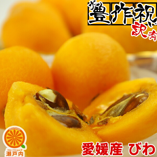 愛媛産 甘～いびわ 訳あり 約2.8kg (1パック350g)×6~8パック 【送料無料(一部地域除く)】不揃い 愛媛県産 枇杷 フルーツ 旬の果物 くだもの 家庭用 果実 青果 食品ロス おやつ デザート コロナ おうち時間応援 夏の味覚 産地直送