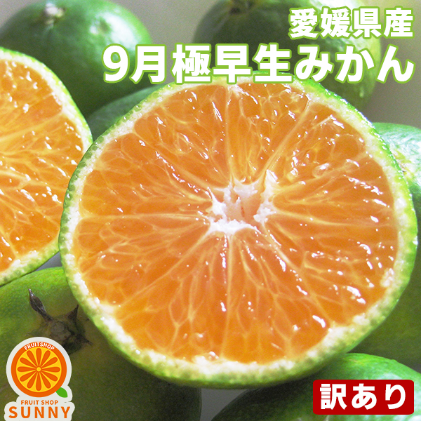 楽天市場】愛媛産 河内晩柑 10kg 訳あり【送料無料(一部地域除く)】愛媛県産 夏文旦 和製グレープフルーツ ばんかん 宇和ゴールド みしょうかん  美生柑 家庭用 旬の果物 くだもの みかん 柑橘類 食品 コロナ おうち時間応援 マーマレード スムージーに 産地直送 ...