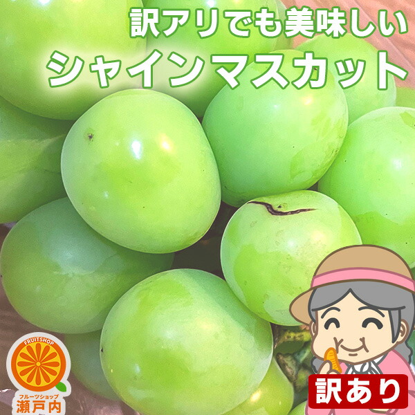 楽天市場】安心クール便♪愛媛産 ピオーネ 訳あり 約2.4kg(目安2〜6房) ご家庭用【送料無料(一部地域除く)】不選別・不揃い 愛媛県産 フルーツ  葡萄 果物 くだもの 果実 青果 食品ロス ぶどう ブドウ おやつ デザート 夏の味覚 コロナ ステイホーム おうち時間応援 産地 ...