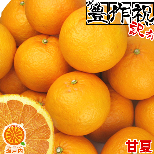 楽天市場】愛媛産 甘夏(あまなつ) 10kg 訳あり・不揃い【送料無料(一部