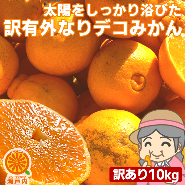 楽天市場】愛媛産 はるか 5kg 訳あり【送料無料(一部地域除く)】不揃い