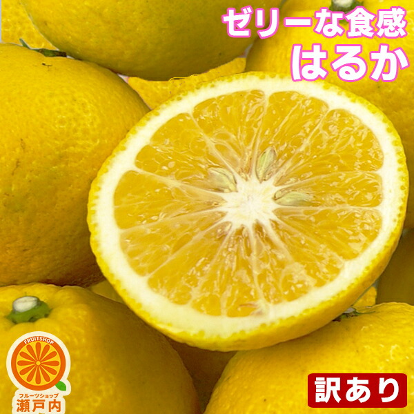 【楽天市場】愛媛産 はるか 5kg 訳あり【送料無料(一部地域除く