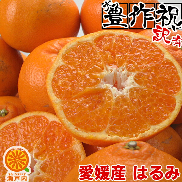 楽天市場】愛媛産 はるみ 10kg 訳あり【送料無料(一部地域除く