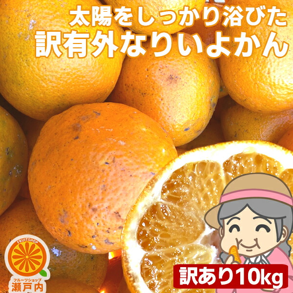 楽天市場】愛媛産 はるか 5kg 訳あり【送料無料(一部地域除く)】不揃い