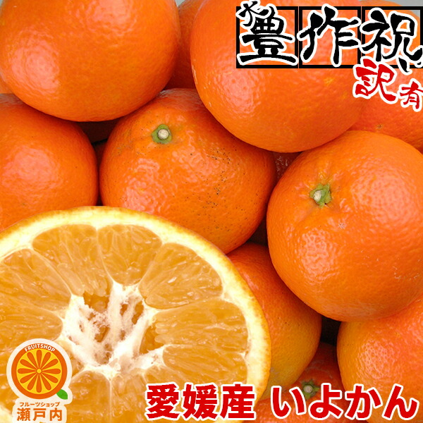 楽天市場】愛媛産 はるか 5kg 訳あり【送料無料(一部地域除く)】不揃い