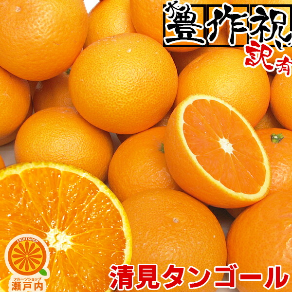 楽天市場】愛媛産 はるか 5kg 訳あり【送料無料(一部地域除く)】不揃い