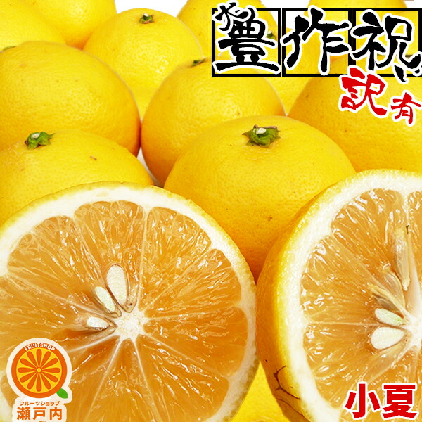 楽天市場】愛媛産 河内晩柑 10kg 訳あり【送料無料(一部地域除く)】愛媛県産 夏文旦 和製グレープフルーツ ばんかん 宇和ゴールド みしょうかん  美生柑 家庭用 旬の果物 くだもの みかん 柑橘類 食品 コロナ おうち時間応援 マーマレード スムージーに 産地直送 ...