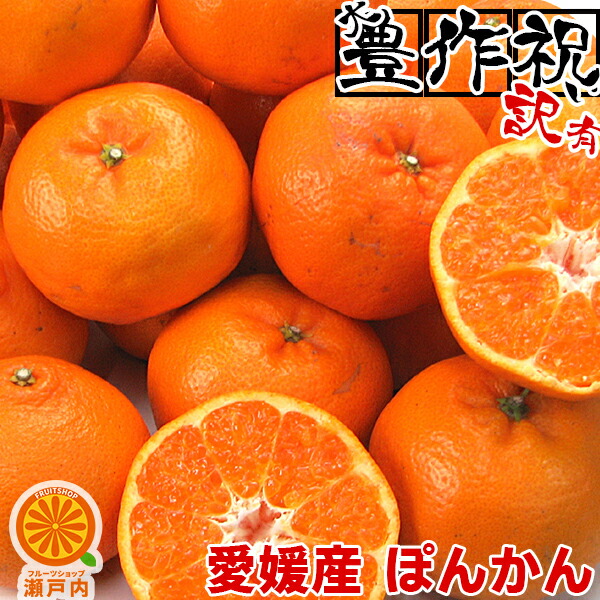 楽天市場】愛媛産 はるか 5kg 訳あり【送料無料(一部地域除く)】不揃い