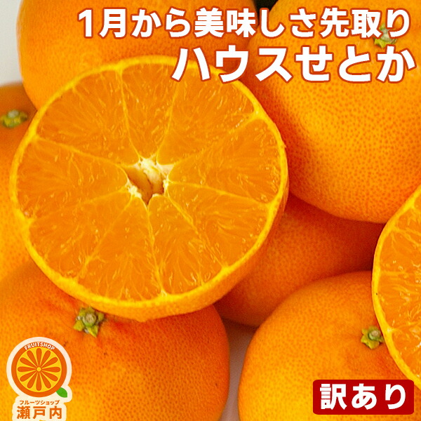 楽天市場】愛媛産 はるか 5kg 訳あり【送料無料(一部地域除く)】不揃い