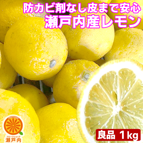 楽天市場 瀬戸内産 国産レモン 1kg 良品 クール便送料無料 一部地域除く 檸檬 Lemon 防腐剤 防かび剤不使用 愛媛県産か広島県産 瀬戸内 レモン 家庭用 フルーツ 果物 くだもの ミカン科 箱買い 柑橘類 お試し コロナ おうち時間応援 フルーツショップ 瀬戸内