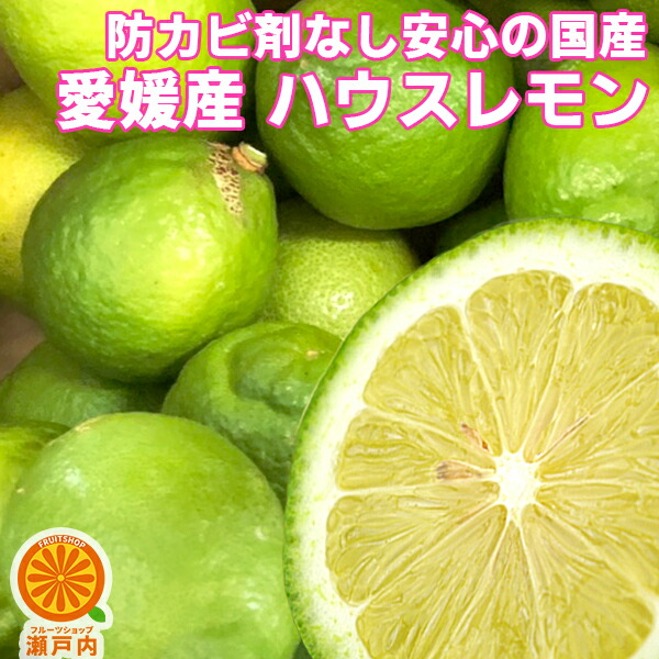 楽天市場】愛媛産 河内晩柑 10kg 訳あり【送料無料(一部地域除く)】愛媛県産 夏文旦 和製グレープフルーツ ばんかん 宇和ゴールド みしょうかん  美生柑 家庭用 旬の果物 くだもの みかん 柑橘類 食品 コロナ おうち時間応援 マーマレード スムージーに 産地直送 ...