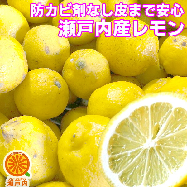 楽天市場 瀬戸内産 国産レモン 1kg 訳あり 2品で 1kg 3kgセット 3品で 2kg 5kgセット クール便送料無料 一部地域除く 檸檬 Lemon 防腐剤 防かび剤不使用 愛媛県産か広島県産 瀬戸内レモン 家庭用 フルーツ 果物 くだもの ミカン科 箱買い 柑橘類 お試し コロナ