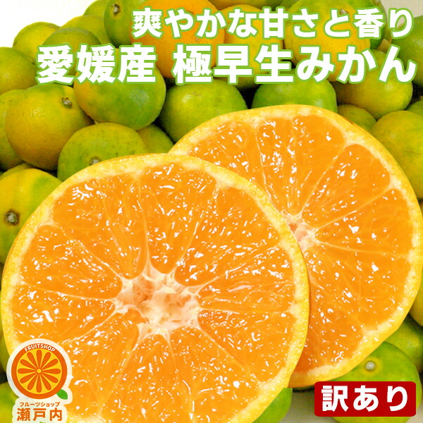 楽天市場】愛媛産 河内晩柑 10kg 訳あり【送料無料(一部地域除く)】愛媛県産 夏文旦 和製グレープフルーツ ばんかん 宇和ゴールド みしょうかん  美生柑 家庭用 旬の果物 くだもの みかん 柑橘類 食品 コロナ おうち時間応援 マーマレード スムージーに 産地直送 ...