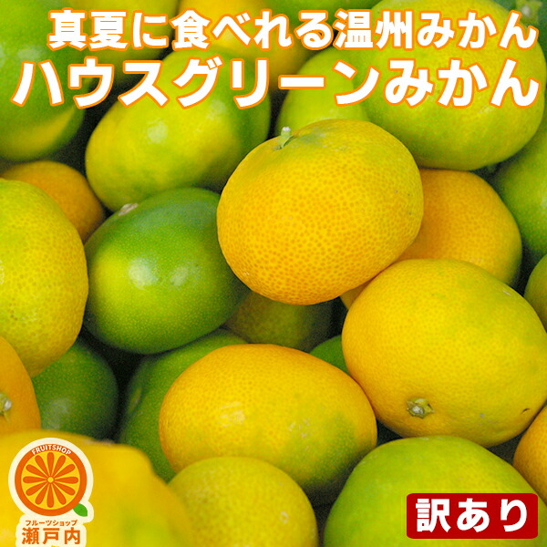 楽天市場 買い回りに 愛媛産 ハウスグリーンみかん 1kg 訳あり 2品で 1kg 3kgセット 3品で 2kg 5kgセット 送料無料 一部地域除く 愛媛県産 家庭用 フルーツ 果物 夏のくだもの 果実 お試し 食品 コロナ おうち時間応援 みかん 蜜柑 柑橘類 かんきつ 産地