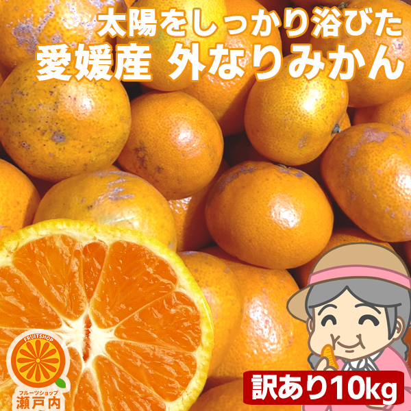 楽天市場】愛媛産 河内晩柑 10kg 訳あり【送料無料(一部地域除く)】愛媛県産 夏文旦 和製グレープフルーツ ばんかん 宇和ゴールド みしょうかん  美生柑 家庭用 旬の果物 くだもの みかん 柑橘類 食品 コロナ おうち時間応援 マーマレード スムージーに 産地直送 ...