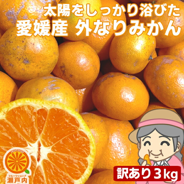 楽天市場】即日出荷中！愛媛産 ご家庭用 農家さんもぐもぐ 外なり訳ありみかん 10kg(+約0.5kg多め)【送料無料(一部地域除く)】不揃い 傷  汚れ有 愛媛県産 フルーツ 美味しいみかん 果物 くだもの 温州みかん 柑橘類 かんきつ 食品ロス コロナ おうち時間応援 産地直送 ...