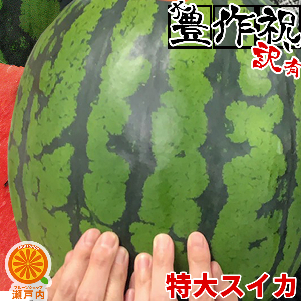 楽天市場】ゼスプリ（大玉サイズ）サンゴールドキウイ 2kg【送料