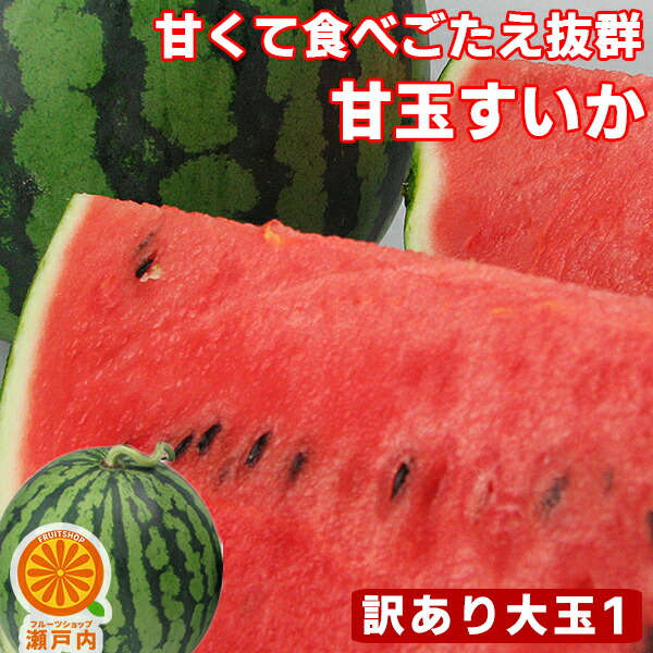 こちらでは購入できません【愛媛県産】すもも　大きめのもの２キロ 楽天市場】愛媛産 高原のすもも 訳あり 約1.4kg【クール便送料